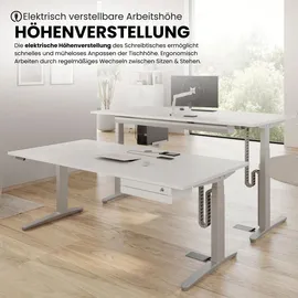 bümö Schreibtisch XBHM Nussbaum / Graphit
