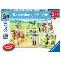 Ravensburger Puzzle Ein Tag auf dem Reiterhof (05129)