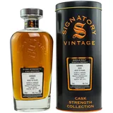 Signatory Vintage Ledaig 66,1% vol 0,7 l Geschenkbox