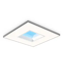 Philips Lighting LED-Leuchte Nature Connect LP911P #10844800