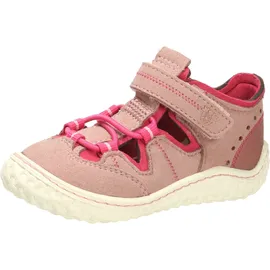 Pepino Jerry Rosa 24