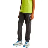 The North Face Mountain Athletics Hosen Anthracite Grey L
