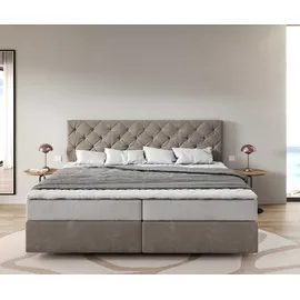 DeLife Dream-Great 200 x 200 cm Beige