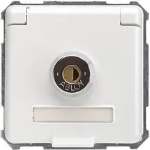 Elso Steckdoseneinsatz 225094 16A Weiß 1 St.
