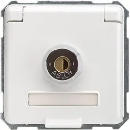 Elso Steckdoseneinsatz 225094 16A Weiß 1 St.