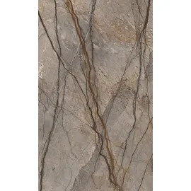Schulte Duschrückwand Braun
