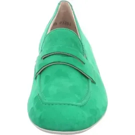 Paul Green 2954 grün 6,5
