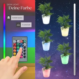 Tectake tectake® Leuchtzylinder Luminous Curve Cooler als Sektkühler mit LED-Beleuchtung, 12 W 38 x 40 cm, inkl. Erdspieß