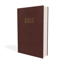 Zondervan Niv, Gift and Award Bible, Leather-Look, Burgundy, Red Letter Edition, Comfort Print