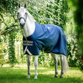 Horseware Ireland Horseware Amigo Bravo 12 Turnout 50g