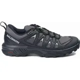 Salomon X Braze Goretex Wanderschuhe - Magnet / Black / Black - EU 41 1/3