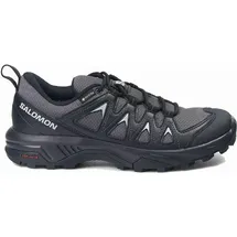 Salomon X Braze Goretex Wanderschuhe - Magnet / Black / Black - EU 41 1/3