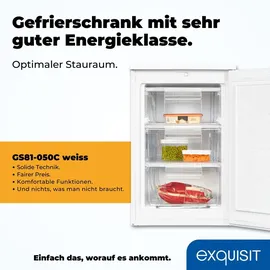 Exquisit GS81-050C