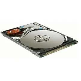 MicroStorage 40 GB IDE 2.5-Festplatte (Festplatte, IDE/ATA)