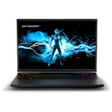 Medion ERAZER Beast X40 (MD62507), Gaming-Notebook