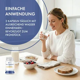 provilea Nachtkerzenöl Kapseln 60 St.