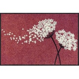 Salonloewe Fußmatte waschbar Wishful Blossom 50x75 cm Design-Matte Eingangsmatte Tür-Teppich Fussabtreter bunt