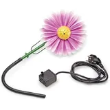 Aquanique Speier Set Gänseblümchen pink SSDW 200i (200 l/h) | Wasserspiel | Wasserspeier aus Metall mit Pumpe | 1,5m Kabel | Gartendekoration