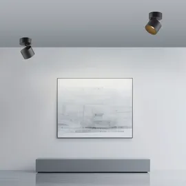 neuhaus pure Paul Neuhaus 1 Leuchtmittel schwarz