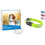 Tractive GPS Tracker für Hunde + LED-Halsband. Live-Ortung mit unbegrenzter Reichweite (Grün, S)