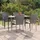vidaXL Garten-Essgruppe 5-tlg. Grau