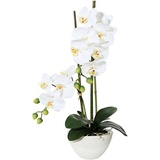 Kunstpflanze Orchidee Orchidee, Creativ green weiß