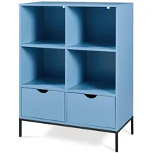 [en.casa] Bücherregal 105 x 80 x 40 cm Blau