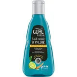 Guhl MEN 3in1 Frische & Pflege Shampoo 250 ml