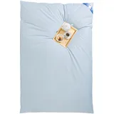 RIBECO "Leon", silberweiß 90% 10% Federn, 155x220 cm blau extrawarm