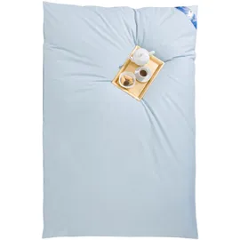 RIBECO "Leon", silberweiß 90% 10% Federn, 155x220 cm blau extrawarm