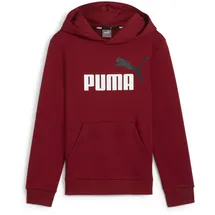 Puma Ess+ Metallic 2 Col Big Logo Fleece-Hoodie Jungen 13 intense red 152