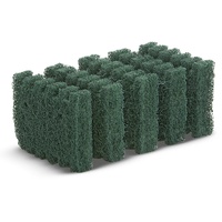 Kärcher Handpads (6.369-514.0)