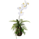 Gasper Kunstpflanze Orchideen-Arrangement VICATO, Grün - Weiß - ohne Übertopf - H 48 cm