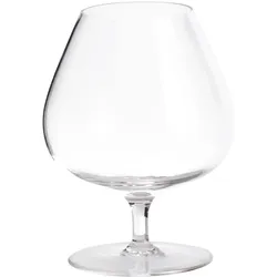 BRUNNER Cognac Gläser Set Tritan Camping Reise Schnaps Glas Bruchfest 430 ml