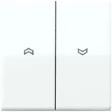 Jung Wippe Symbole aws für Taster AS 591-5 P WW