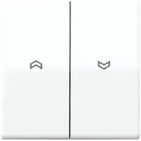 Jung Wippe Symbole aws für Taster AS 591-5 P WW