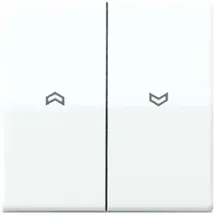 Jung Wippe Symbole aws für Taster AS 591-5 P WW