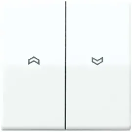 Jung Wippe Symbole aws für Taster AS 591-5 P WW