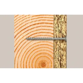 Fischer Spanplattenschraube 5,0 x 110 mm 50 Stück