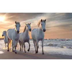 Fototapete PAPERMOON "PFERDE-CAMARGUE GALLOP STRAND MEER TIERE KÜSTE PROVENCE", bunt, B:4,00m L:2,60m, Vlies, Tapeten
