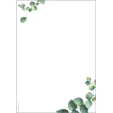 Sigel Motivpapier weiß,grün DIN A5 90 g/m2 100 Blatt