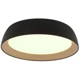Steinhauer LED-Deckenleuchte MYKTY Alu, Eisen, Stahl & Metall