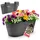 BigDean Blumenkasten 50 x 30 x 24 cm Anthrazit