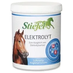 Stiefel Elektrolyt 1 kg