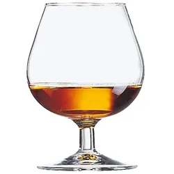 Arcoroc 24 x Cognacschwenker DEGUSTATION 2 - 25 cl