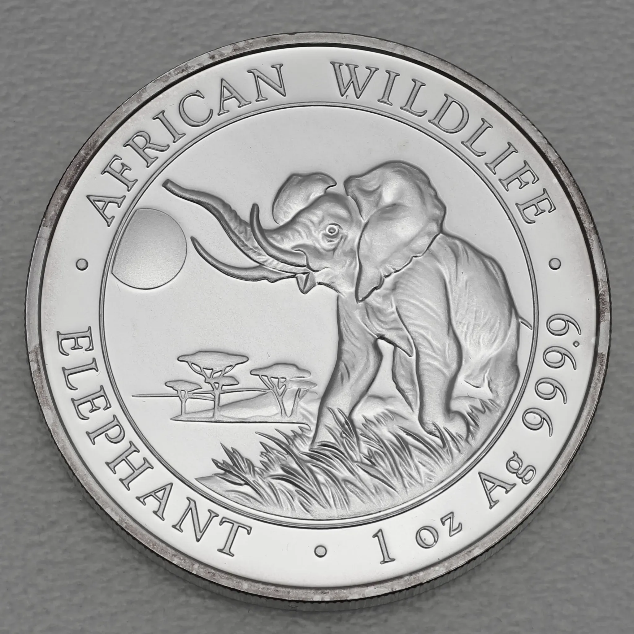 Silbermünze 1oz 