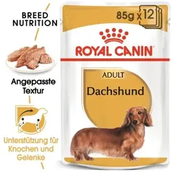 ROYAL CANIN Dachshund Adult Mousse 12x85 g