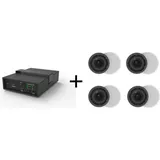 Vivolink (AUDIOPACK4)