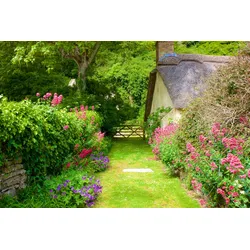 Fototapete PAPERMOON "GARTEN-BLUMEN BÄUME PFLANZEN STEINE WALD PERGOLA BLÜTEN", bunt, B:3,00m L:2,23m, Vlies, Tapeten