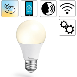 Hama 00176584 energy-saving lamp 10 W E27 G